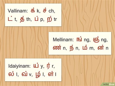 vallinam mellinam idaiyinam in tamil|Tamil Language/Letters